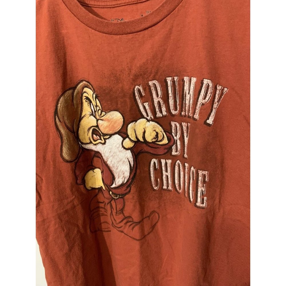 Disney Store Mens GRUMPY BY CHOICE‎ Rust Tee Shirt Sz M Organic Cotton
